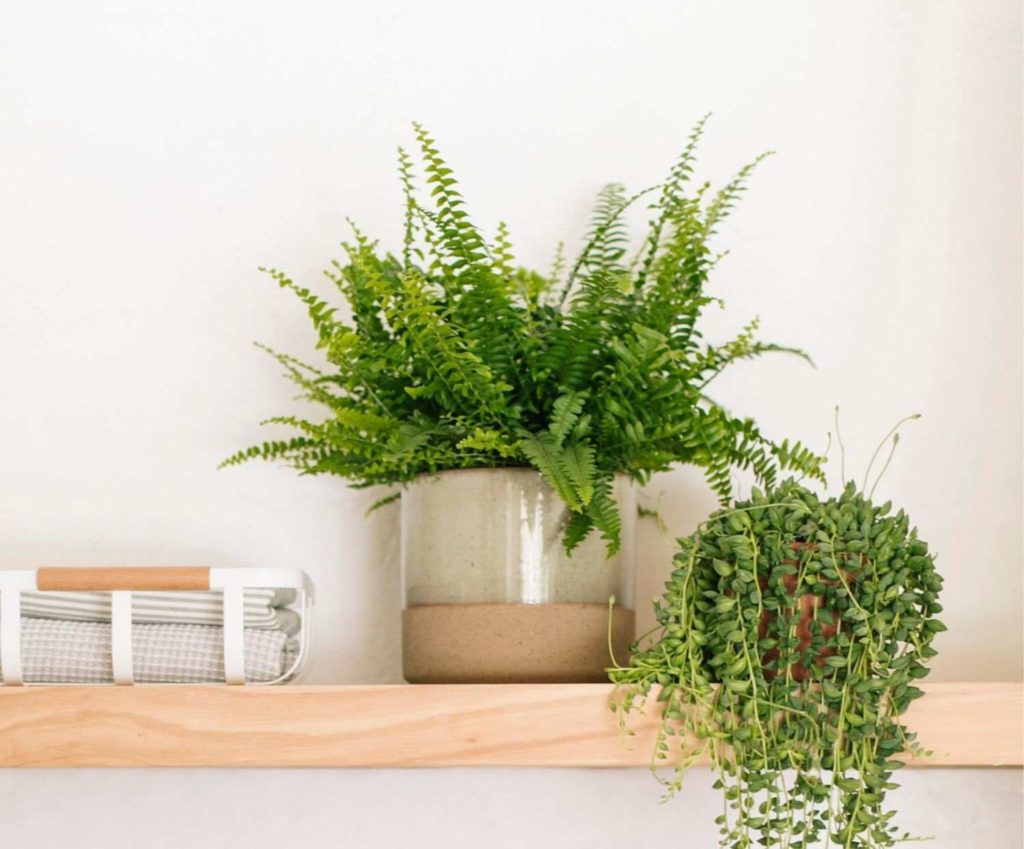 maceta-sobremesa-ceramica-beige-rustico-16cm